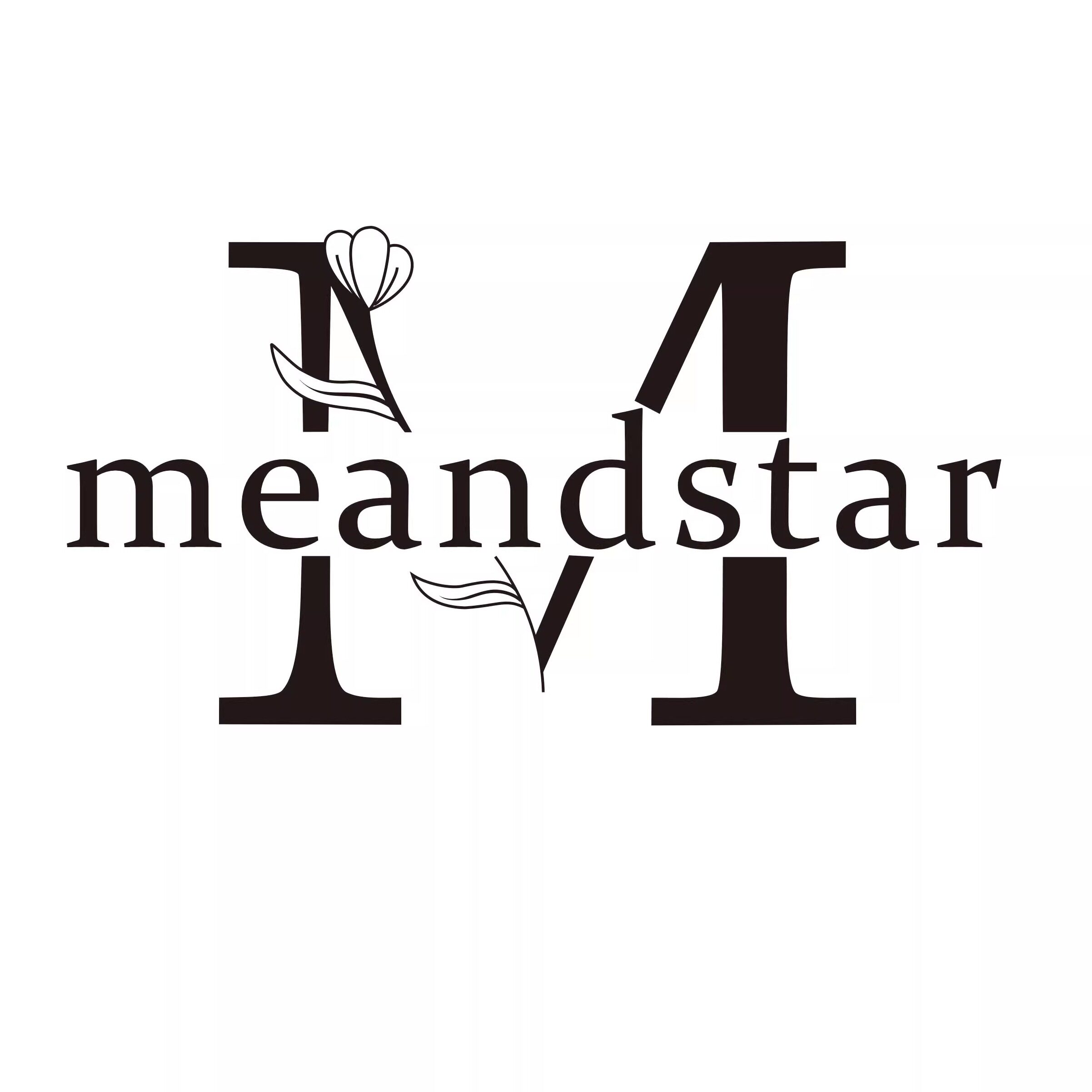 MEANDSTAR
