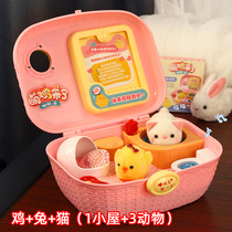 Happy cute chicks to develop a house toy girl play house children simulation pet 3-5-7 years old 4 birthday gift