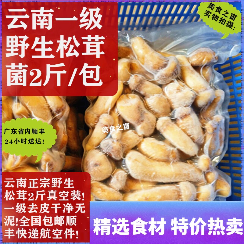 Yunnan wild matsutake 1kg restaurant special wild matsutake ingredients Export grade frozen wild matsutake mushrooms 2 pounds