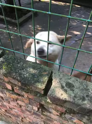 B19 Zero One Two Seven (not for sale for display only)