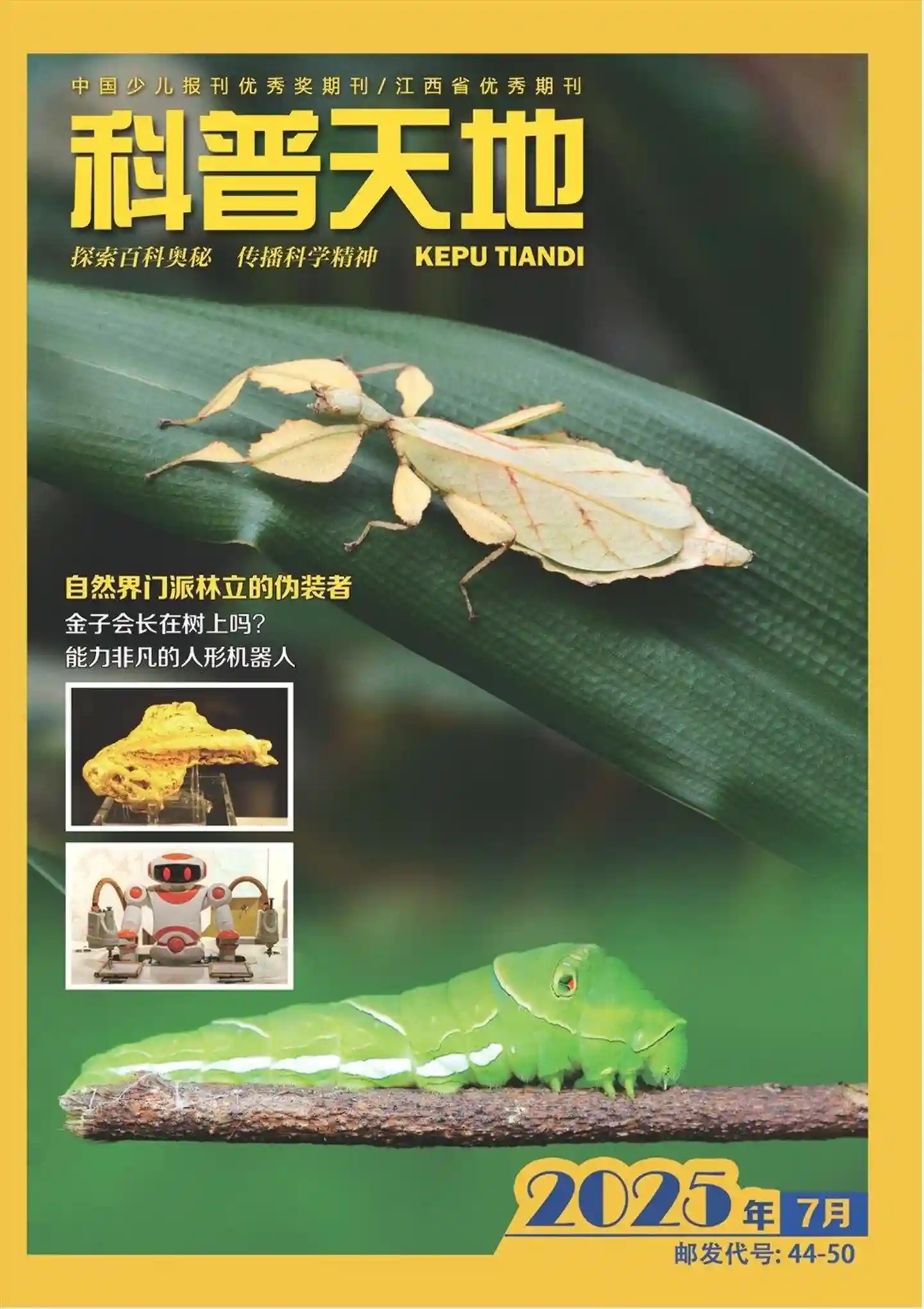 《科普天地》2025年第7期全彩精校PDF杂志下载