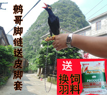 Brother ankle chain Starling leather foot ring Magpie red mouth Blue Finch silk light thrush pet bird skin foot cover anklet