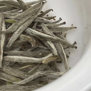 福鼎老白茶 白毫银针茶叶