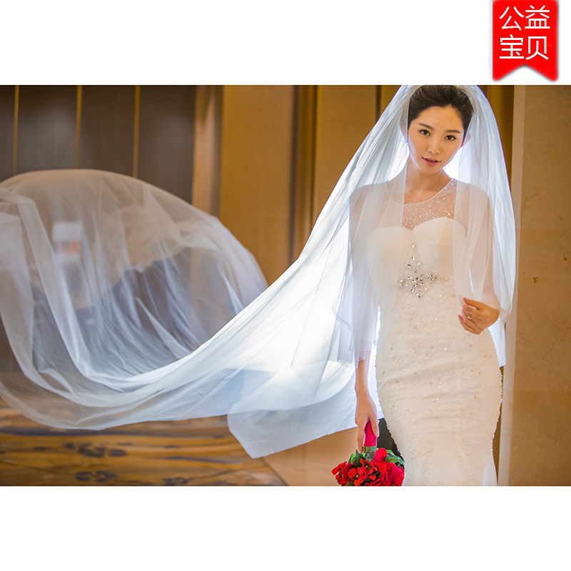 2020 new bridal veil simple plain yarn Korean super long tail 5 meters Baby star with the same wedding photo