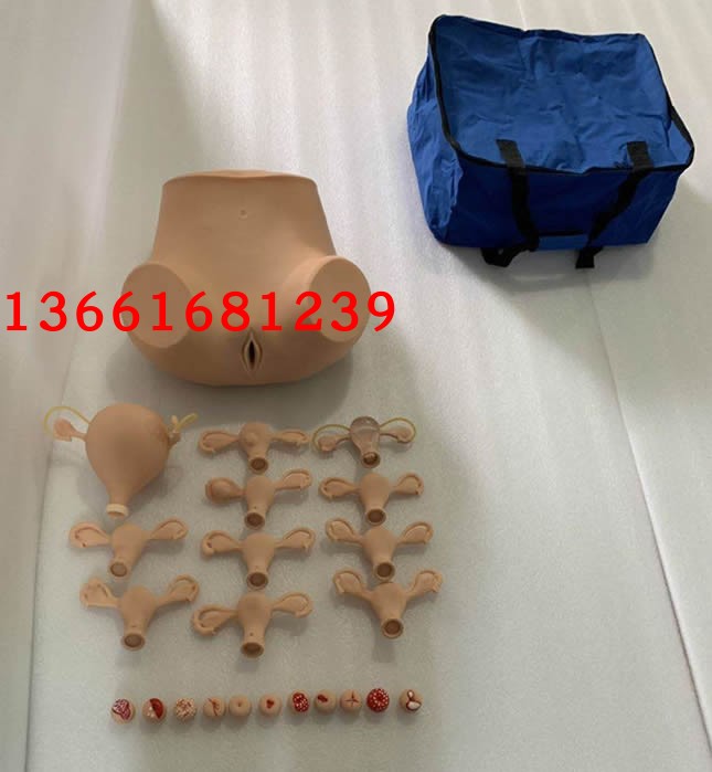 高级妇科检查模型 妇产科训练模型 妇科示教模型