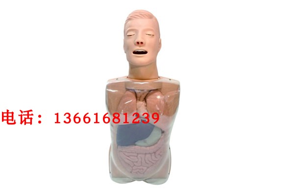 鼻泪管通液训练模型 鼻泪管理液训练模型  透明上半身护理模型