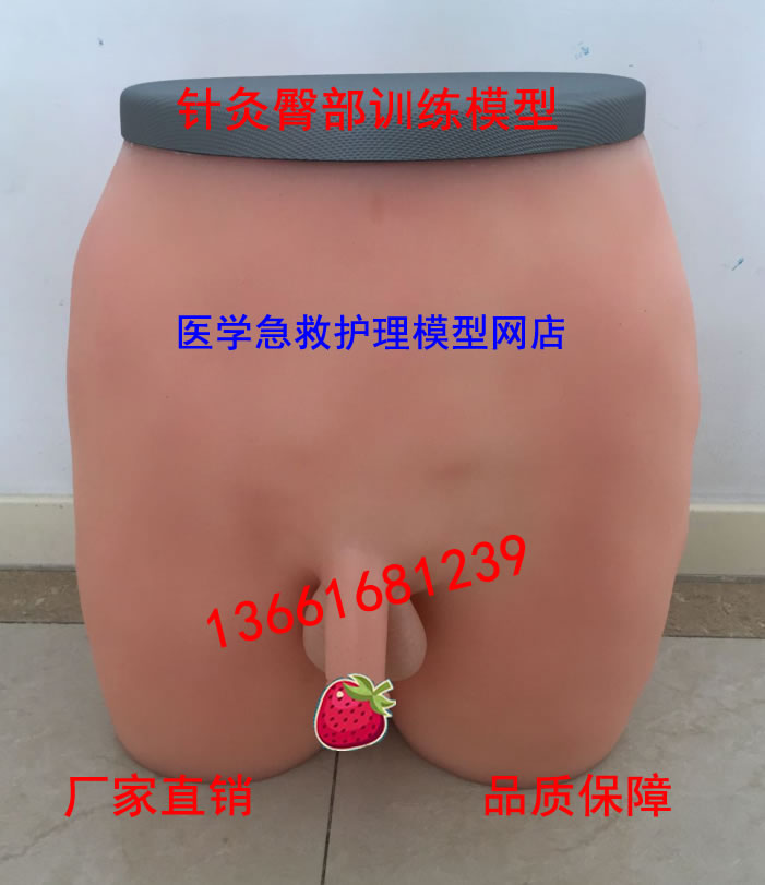 臀部针刺训练模型 针刺臀部训练模型 臀部针灸模型