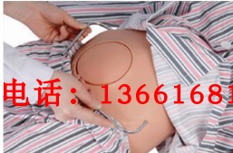 骨盆测量模型 骨盆内外测量模型 骨盆测量示教模型