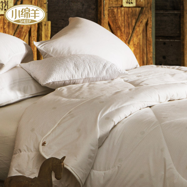 小绵羊 100%纯羊毛 羊毛被 200*230cm 重7斤 优惠券折后¥199包邮(¥279 -80) 小绵羊 100%纯羊毛 羊毛被 200*230cm 重7斤 优惠券折后¥199包邮(¥279 -80)