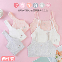 Student underwear cotton developmental period childrens bra 8-12-year-old double-layer anti-bump sling tube puberty vest