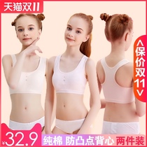 Girls development small vest girls underwear 9-16 junior high school students cotton cushion bra no steel ring