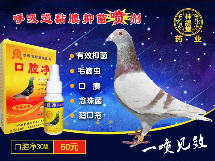 神鸽堂汉方口腔净喷剂治疗毛滴虫念球菌 新疆西藏不包邮
