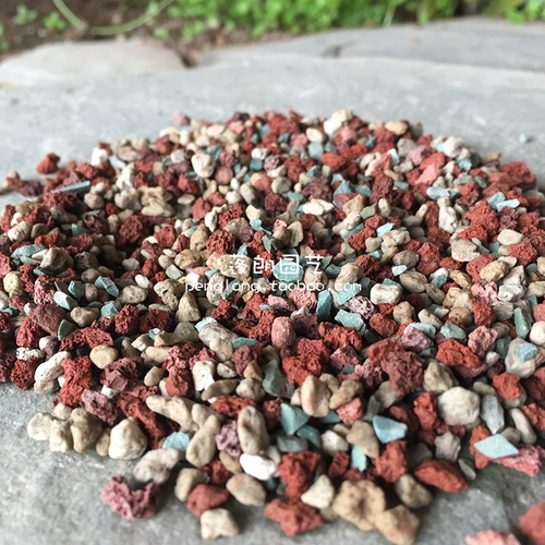 Rainbow Self -Disisplayed Inorganic Mineral High -Charge Plant Flower Pound, сочная дорожка, почва, сочные растения Радуга
