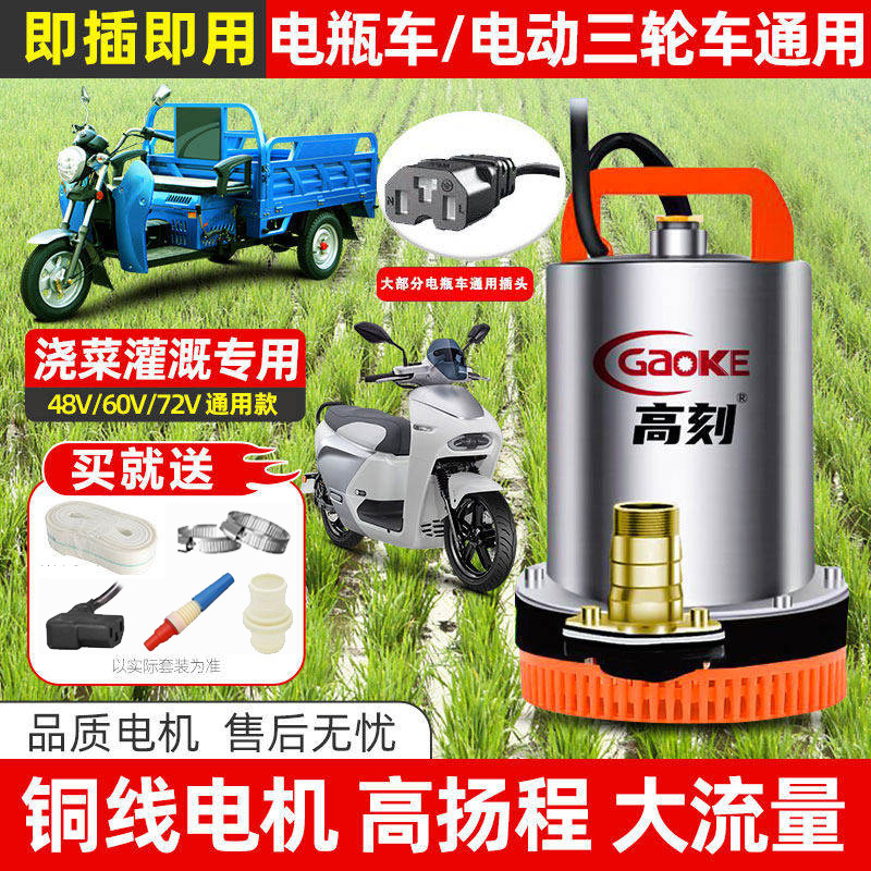 48V 60V Electric Vehicle Water Pump for Irrigation, Agricultural Battery Vehicle Small Dc Submersible Pump 72V Vegetable Watering Pump