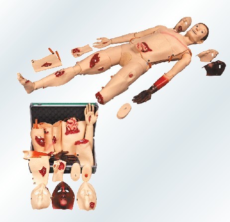 高级创伤模型全科医生GD/J110/烧伤/模块/模拟人/烧伤四肢特价