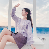 Plain Left Bank purple sweater women loose wear lazy wind design sense niche 2021 autumn and winter New sweater