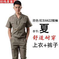 Верблюд пепел 6622 короткий набор