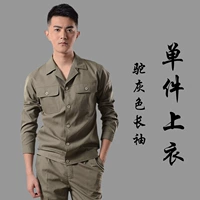 Верблюд серой 6622 длинный единственный топ