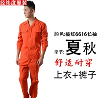 Апельсиновый красный 6616 костюм с длинным рукавом