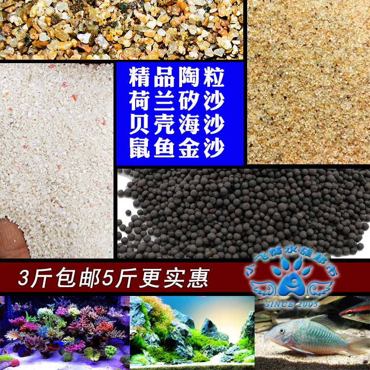 Dutch Silica Salt Holland Sha Shell Sand Sand Sand Sand Sand Sand Sand Sand Sand Sand Sand Sand Sand Sand Sand Sand Sand Sand Sand Sand Sand Sand Sand Sand Sand Sand Sand Sand Sand Sand Sand Sand Sand Sand Sand Sand Sand Sand Sand Sand Sand Sand Sand Sand Sand Sand Sand Sand Sand Sand Sand Sand Sand Sand Sand Sand Sand Sand Sand Sand Sand Sand Sand Sand Sand Sand Sand Sand Sand Sand Sand Sand Sand San