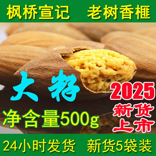 Torreya große Samen Nettoinhalt 500g verpackt Zhuji Fengqiao Xuanji 2025 Neuankömmling Nuss Xiangfei