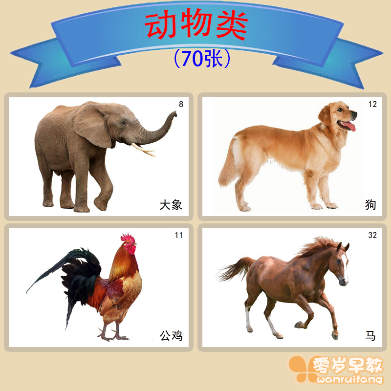 Animal baby month early education enlightenment cognitive card toy language delay rehabilitation autism training card