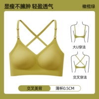 Оливково-зеленый [красивый стиль спинки]