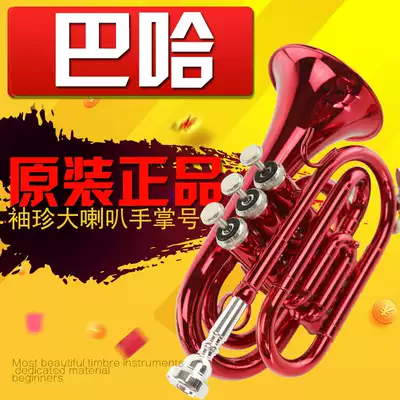 American Baja pocket horn Palm trumpet small Bb tune instrument surface Big Red