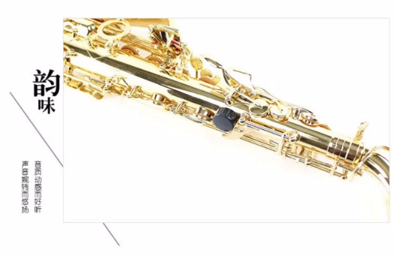 Pháp Selma Selmer / Salma 54 E-phẳng Alto Saxophone - Nhạc cụ phương Tây