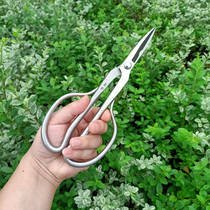 Changguo stainless steel multi-purpose horticultural scissors pruning knife bonsai modeling tool leaf bud scissors three-in-one bonsai scissors