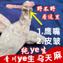 Buy two to send a Sichuan Qingchuan Deep Mountain Excavation Ye Raw of the Gastrodin to the Deep Mountain of the Gastrodia Tuber and dig 250g