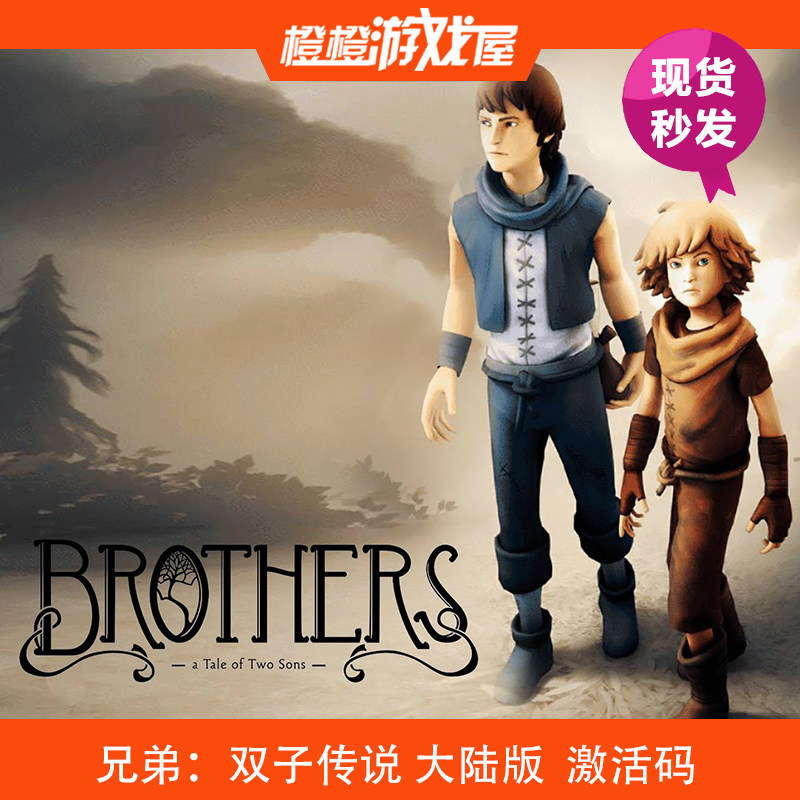 PC Genuine Brothers: The Legend of the Twins Twin Story Steam Activation Code CDkey Serial Number
