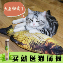 Pet cat toy grass carp pillow catnip pillow cat toy catnip resistant to scratch