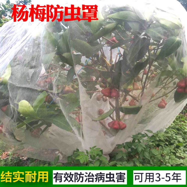 Poplar Plum Navel Orange Zaozao Water Fruit Tree Cover Cherry Bed Nets Anti-Insect Nets Romantle Bird-Proof Nets Windproof Nets