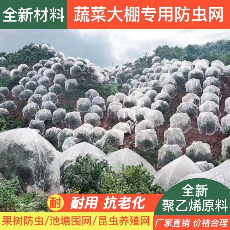 Fruit tree insect control net greenhouse bayberry net cover cherry insect net anti-bird net cover succulent lotus mist peach tree mantle blueberry