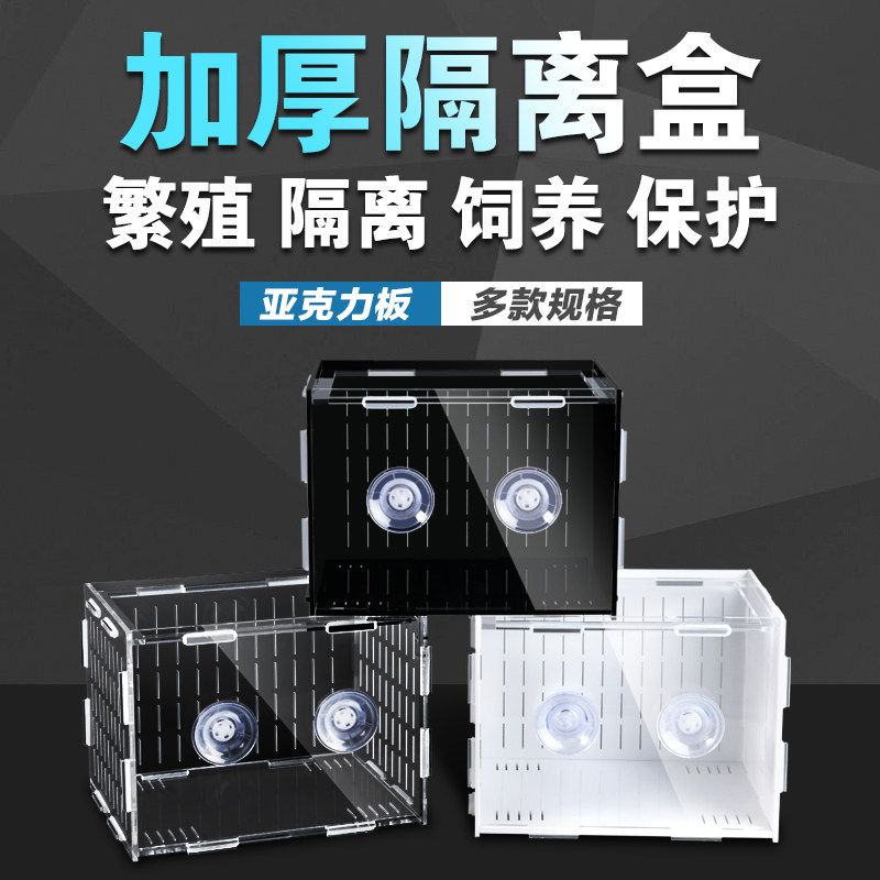 Acrylic thickened isolation box white black aquarium small fry hatcher juvenile fish breeding box turtle fry fish tank
