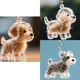 Transparent Dog Hair Storage Box Pendant Capsule for Storing Cat Hair, Commemorative Collection Bag, Keychain Bag Pendant