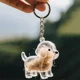 Transparent Dog Hair Storage Box Pendant Capsule for Storing Cat Hair, Commemorative Collection Bag, Keychain Bag Pendant