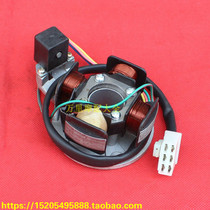 Sanyang New and Old Luxury Wild Wolf RS125 Ignition Coil 125 Fushida FXD125 Magneto Stator