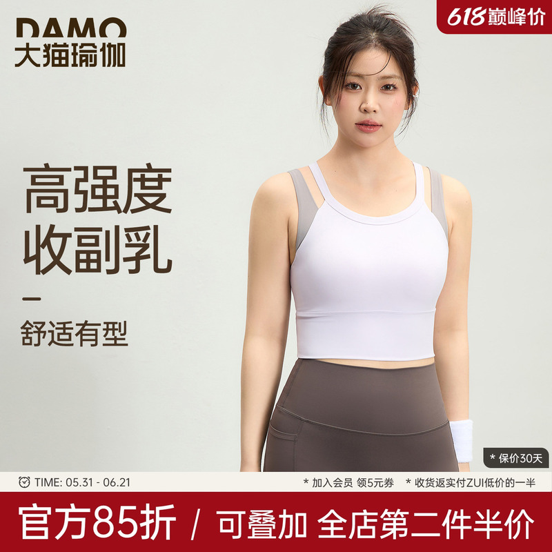 Plus Size Sports Bra High-Intensity Shockproof Sports Vest Pilates Training Yoga Wear Fitness Clothing Set