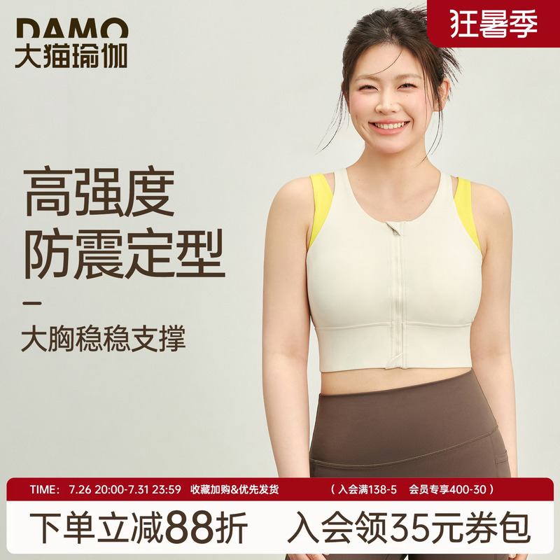 Plus Size Sports Bra for Women, High-Intensity Shockproof Yoga Vest, Fashionable Color-Blocking Outerwear, Running and Fitness Bra