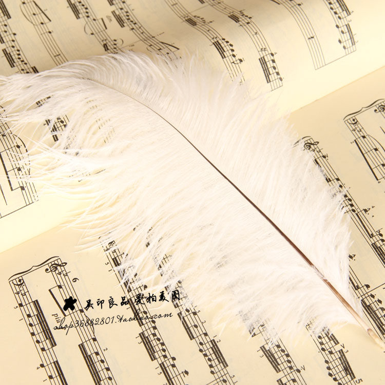 58 Online shop photo props shooting props photography background decoration beautiful white ostrich feather 1