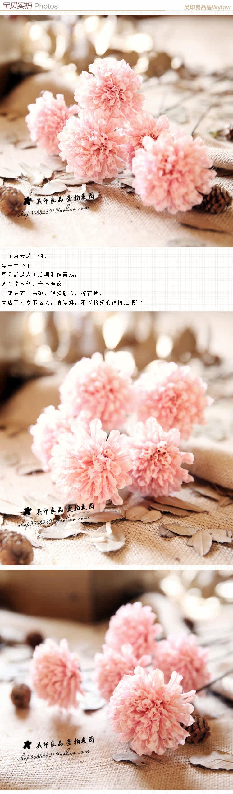 Легкий порошковый кунжут Flower_02.jpg