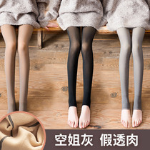 Stewardess gray leggings spring autumn and winter pantyhose fake flesh and skin one seamless light leg artifact plus velvet thickening