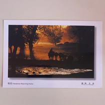 Northwest Scenery Mugui Forest Dusk Herdsmen Horses Chinese Scenery Photography Postcard