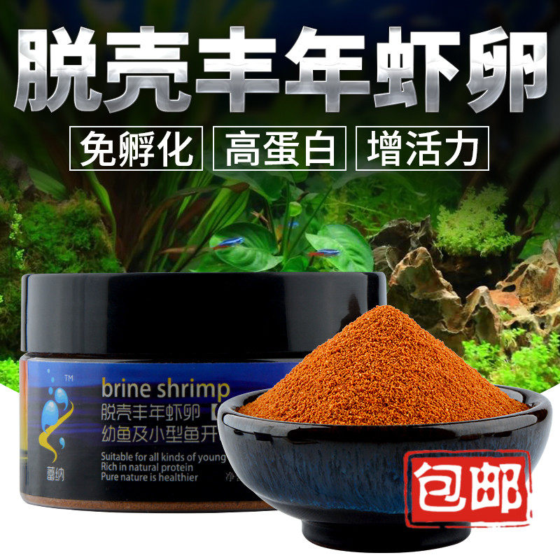 Funnary shrimp eggs Hulling Eggs Hatching Young Fish Small Fish Opening Peacock Fish Feed Fish Food Big Red Eggs