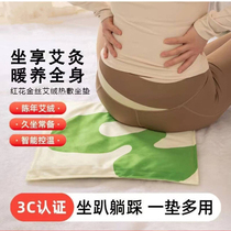 Selection of good products moxibustion cushion golden moxa velvet grass and wood hot compress pad red flower mugwort portable futon electric heating pad