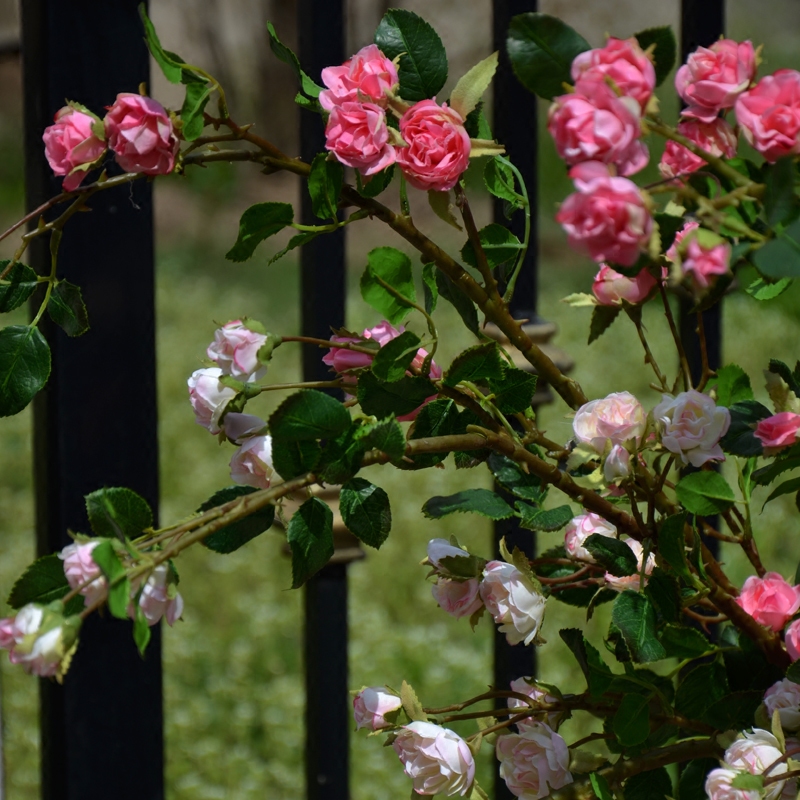 Simulation mini rose vine briar plant climbing vine balcony small garden decoration wall bride wedding photography