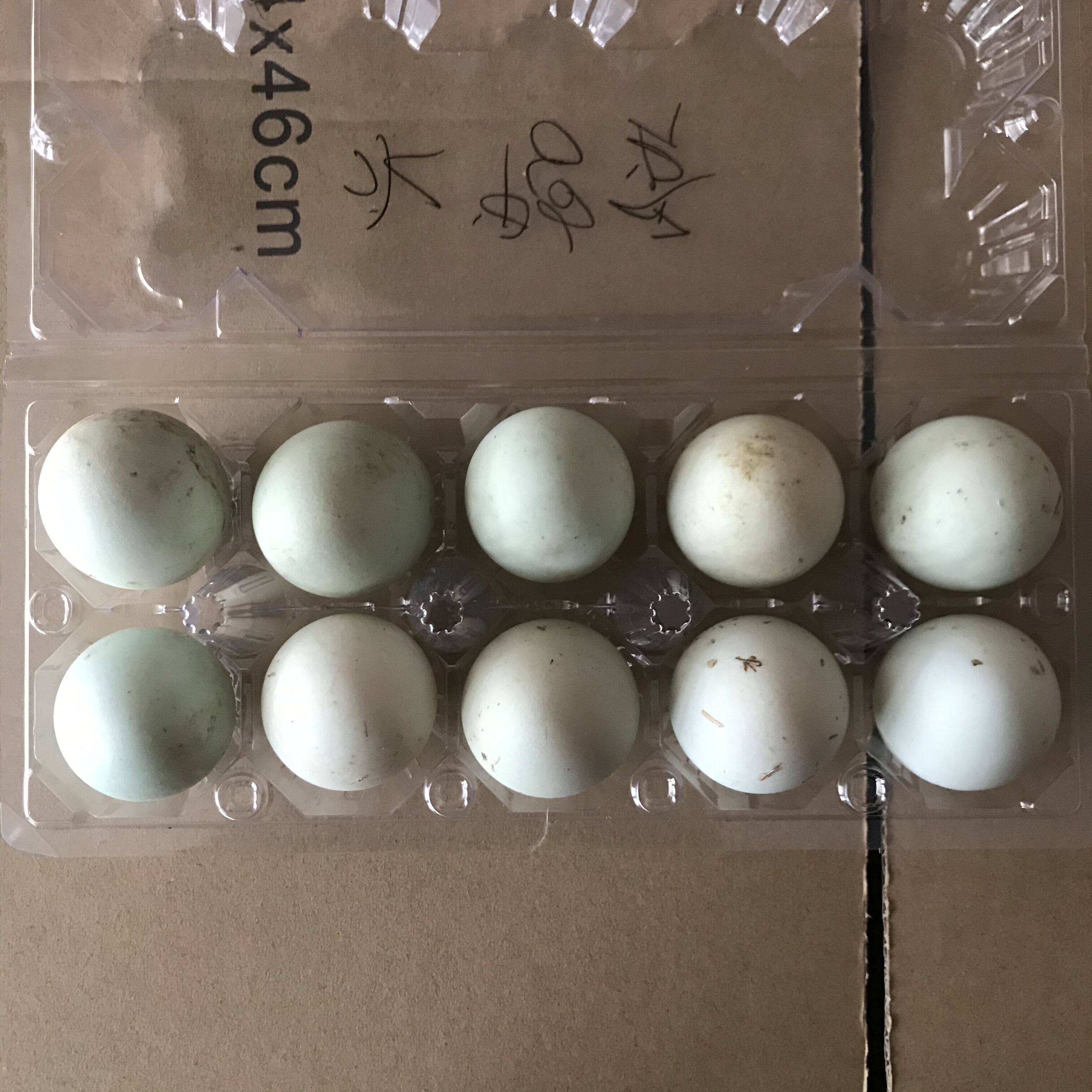 Wenzhou Yongjia local eggs, fresh native duck eggs, water duck eggs, hemp duck eggs, rice-feeding duck eggs, self-raising eggs 10
