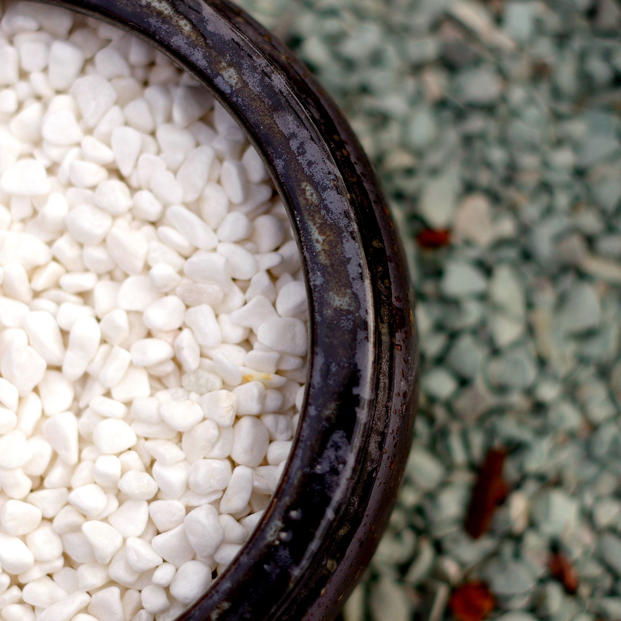 Little white stone multi - meat paved medium Little stone Han white jade stone green plant basin water cultivation